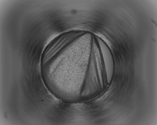 X0000091650902200709131448