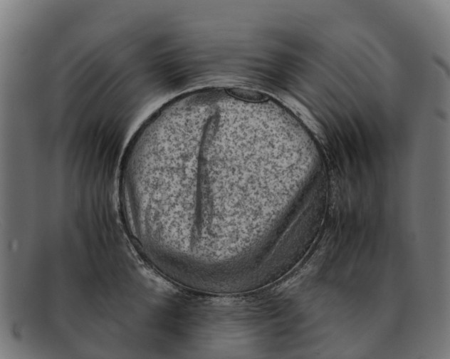 X0000091650904200709131448