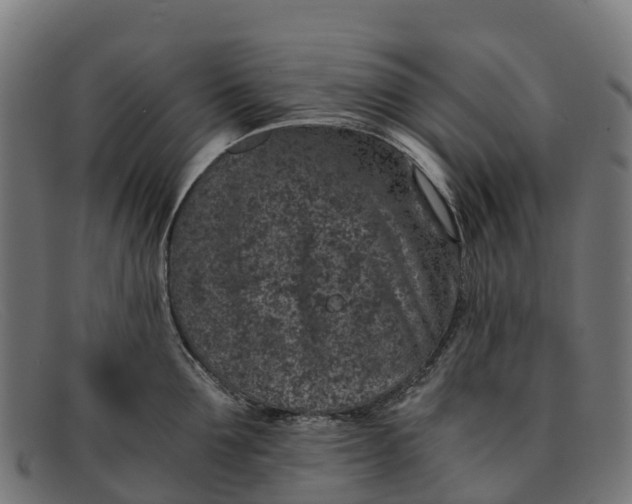 X0000091650907200709131448