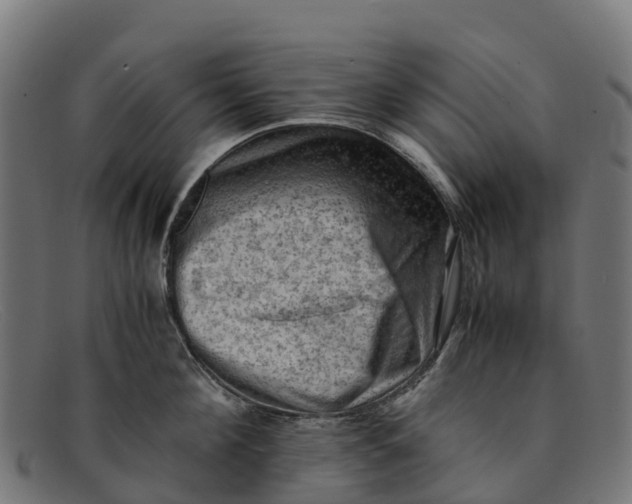 X0000091650908200709131448