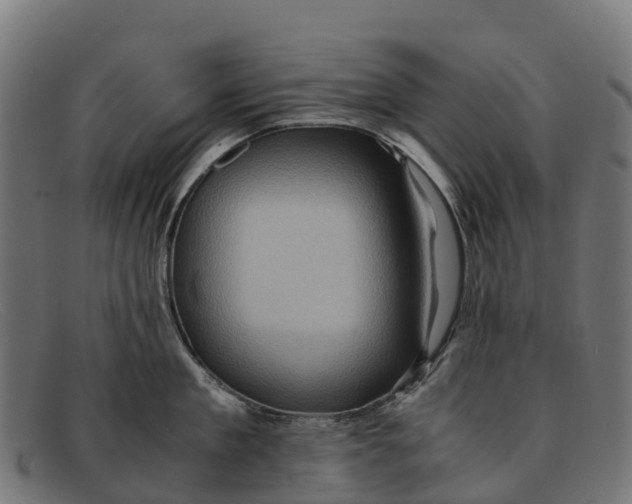 X0000091650909200709131448