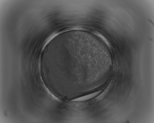 X0000091650910200709131448