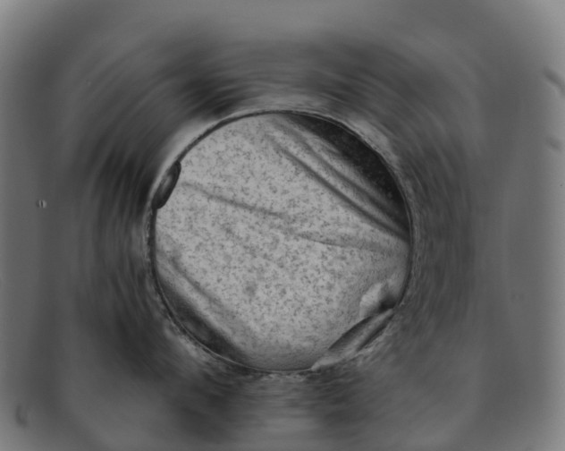 X0000091650912200709131448