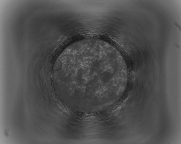 X0000091650913200709131447