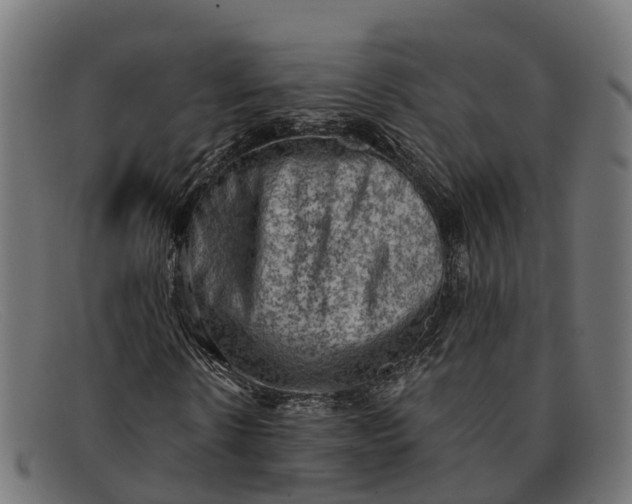 X0000091650914200709131447