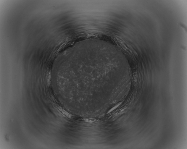 X0000091650916200709131447