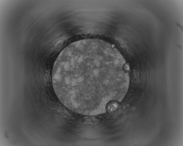 X0000091650918200709131447