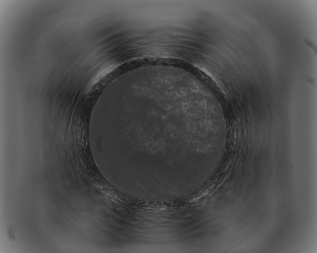 X0000091650919200709131447