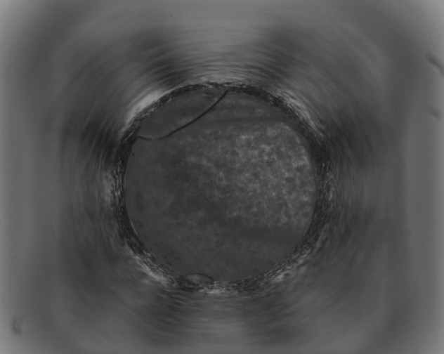 X0000091650920200709131447