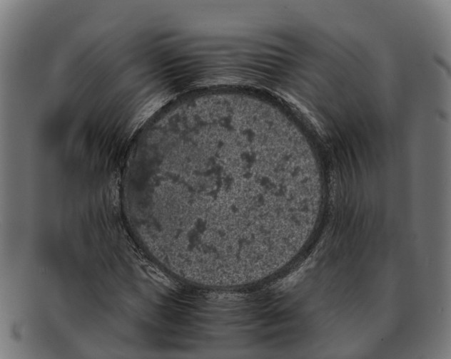 X0000091650921200709131447