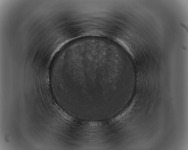 X0000091650923200709131447