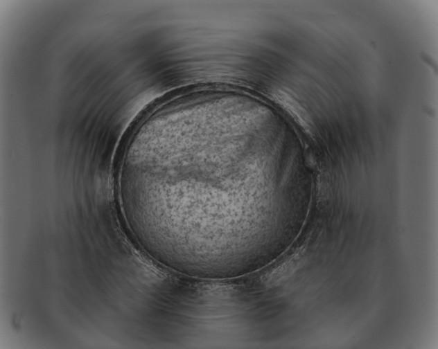 X0000091650924200709131447