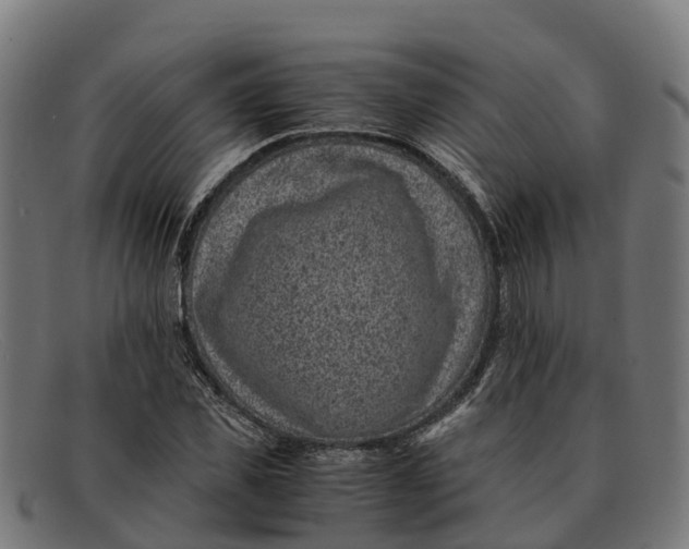 X0000091650925200709131447