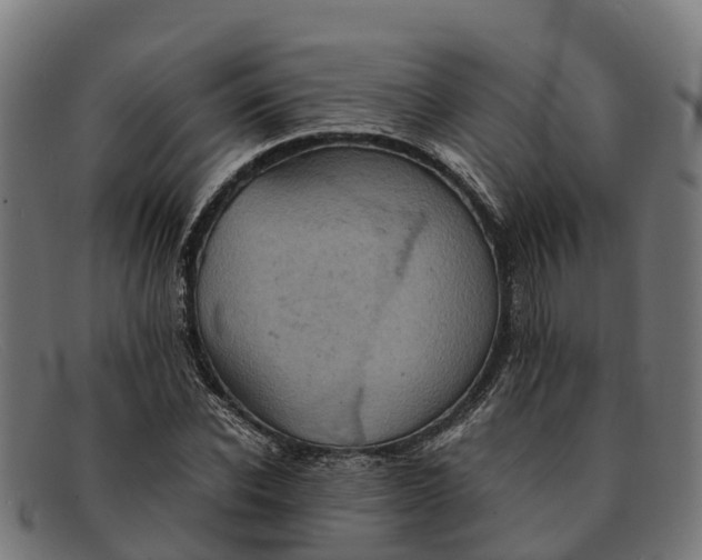 X0000091650926200709131447