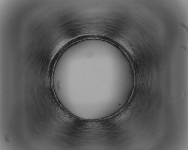 X0000091650927200709131447