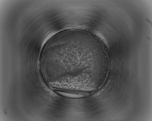 X0000091650928200709131447