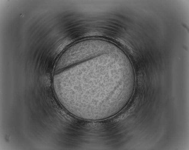 X0000091650929200709131447