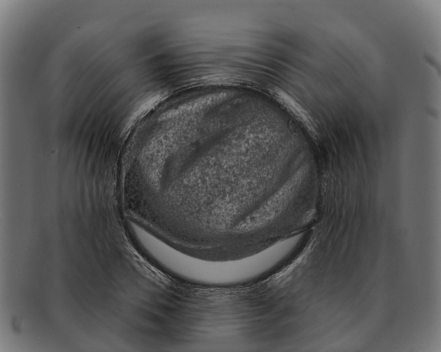 X0000091650930200709131447