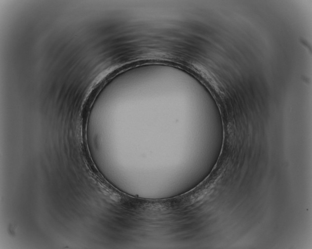 X0000091650931200709131447