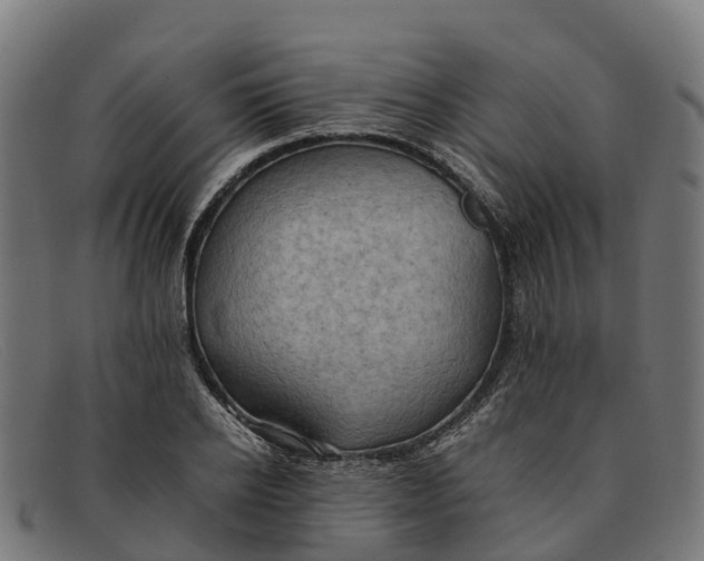 X0000091650934200709131447