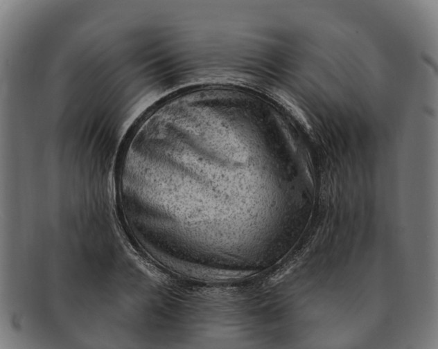 X0000091650936200709131447