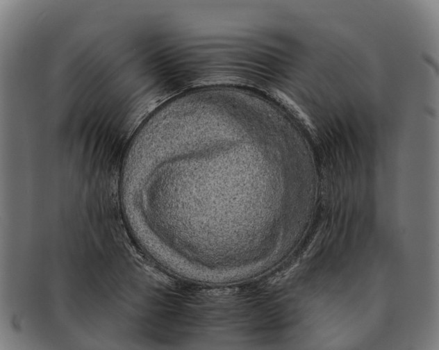 X0000091650937200709131447