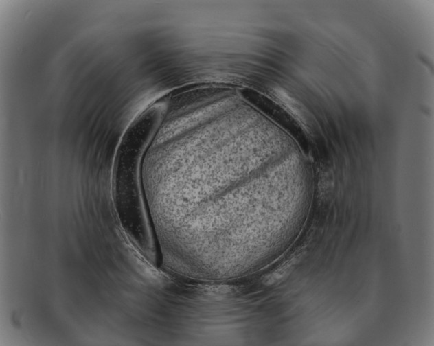 X0000091650940200709131447