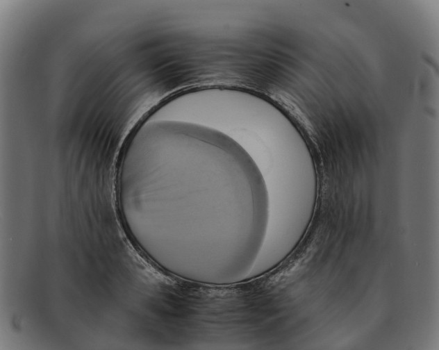 X0000091650941200709131447