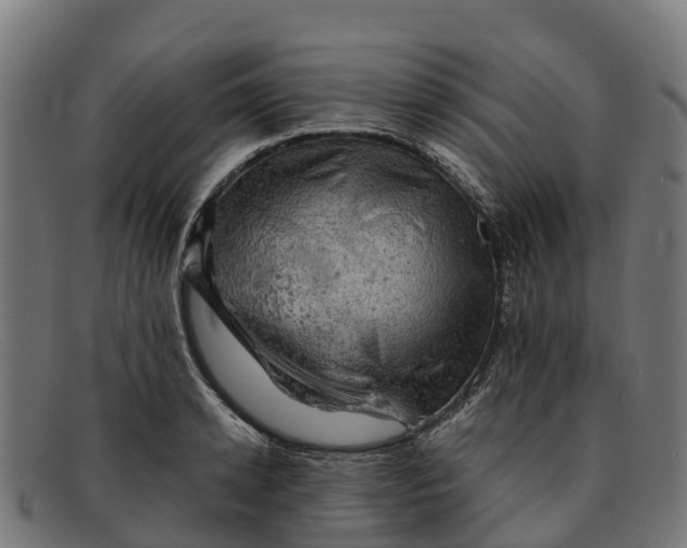 X0000091650942200709131447