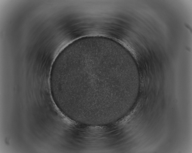 X0000091650943200709131447