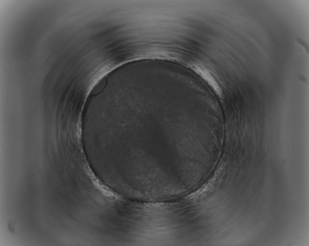 X0000091650944200709131447