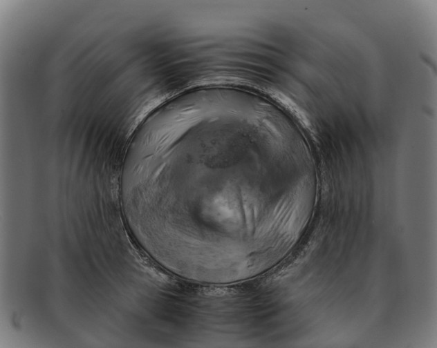 X0000091650945200709131447