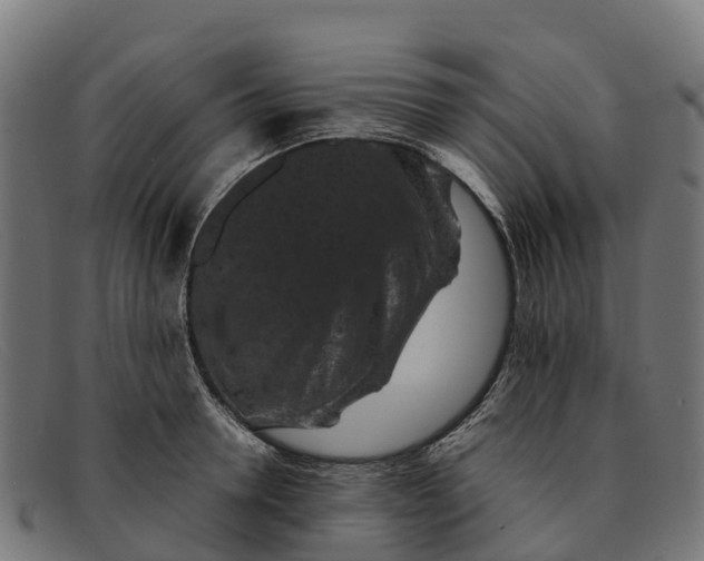 X0000091650946200709131447