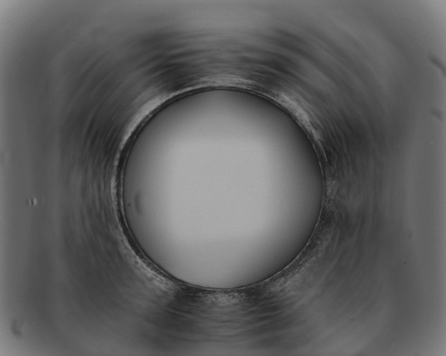 X0000091650947200709131447