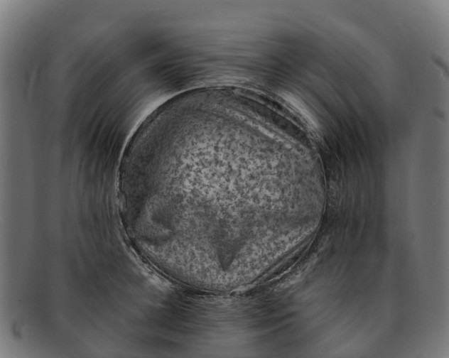 X0000091650948200709131447