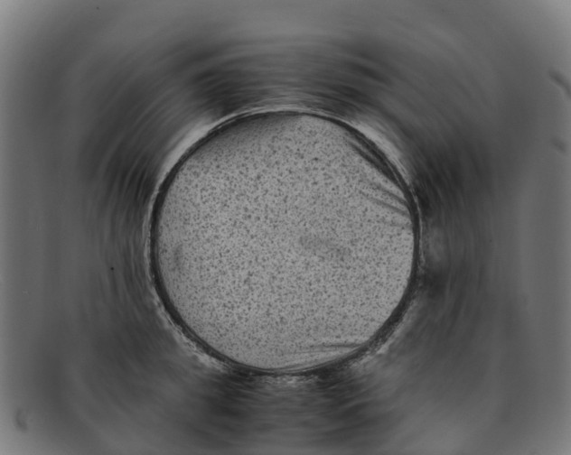 X0000091650949200709131447