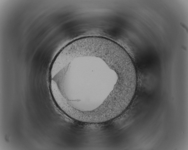 X0000091650950200709131447