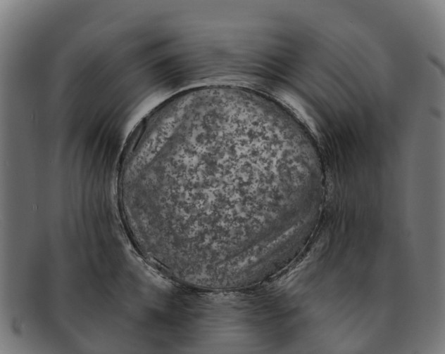 X0000091650952200709131447