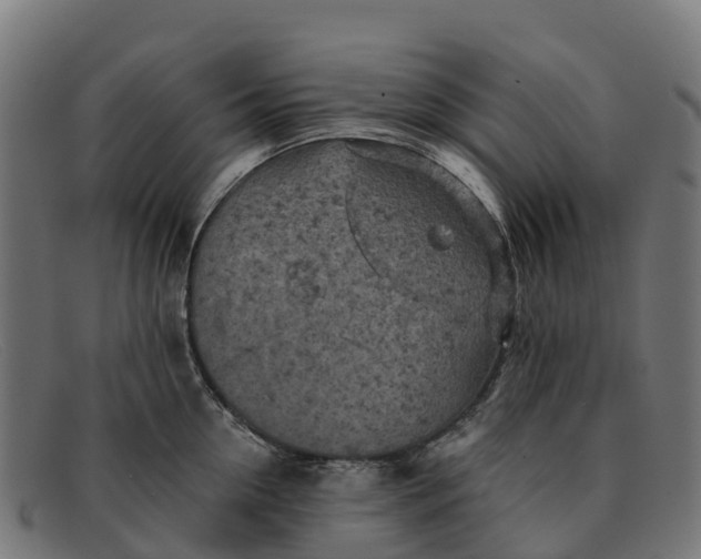 X0000091650954200709131447