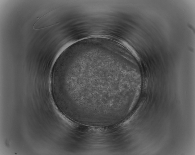 X0000091650955200709131447