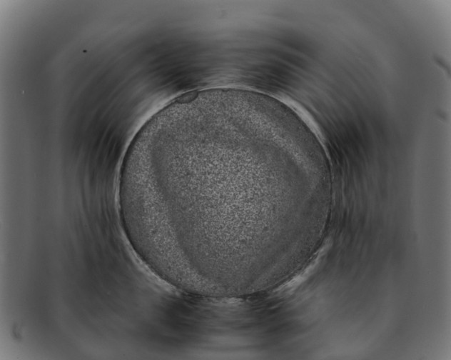 X0000091650957200709131447