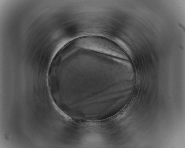 X0000091650958200709131447