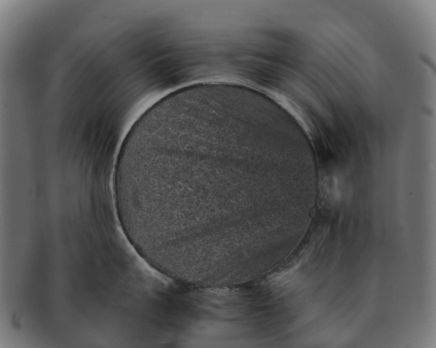 X0000091650959200709131447