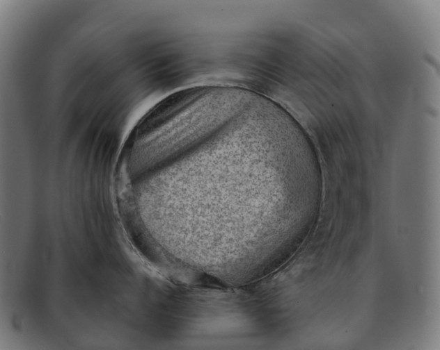 X0000091650960200709131448