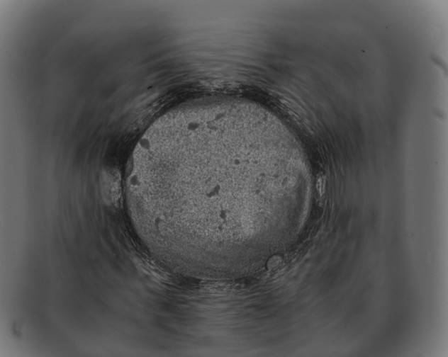 X0000091650963200709131447