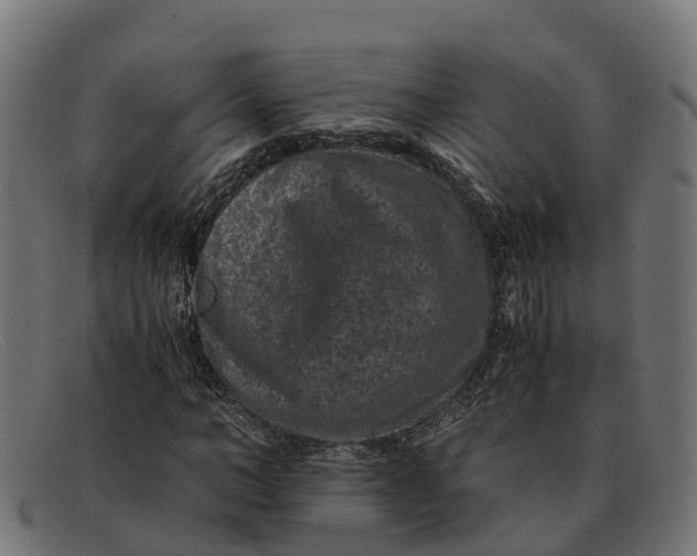 X0000091650966200709131447