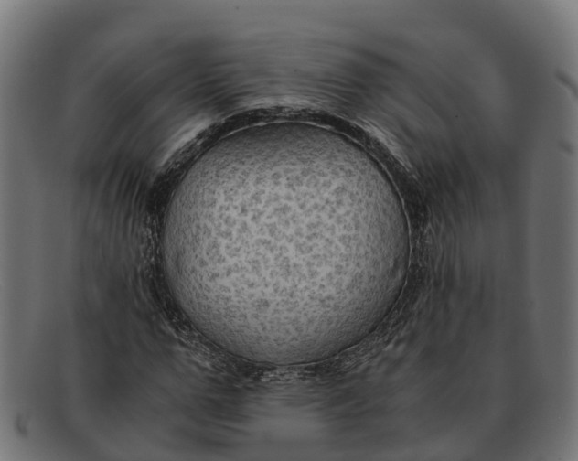 X0000091650967200709131447