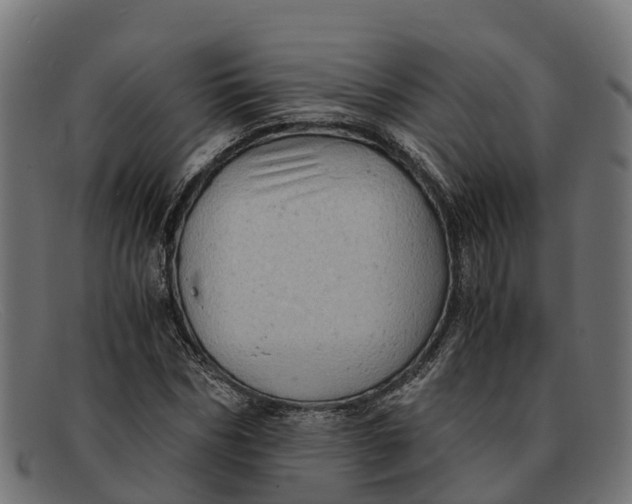 X0000091650970200709131447