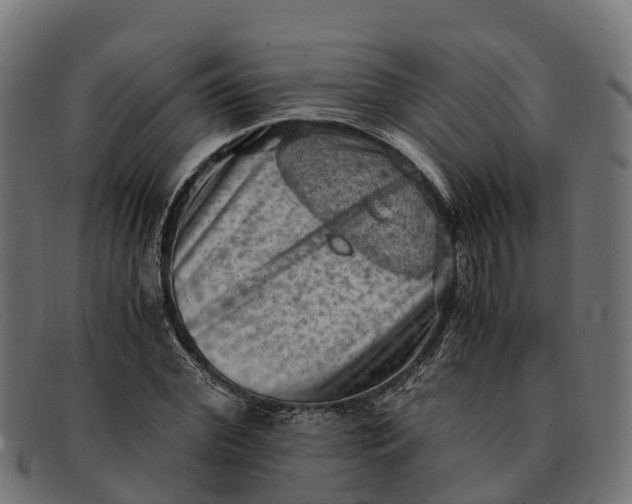 X0000091650972200709131447