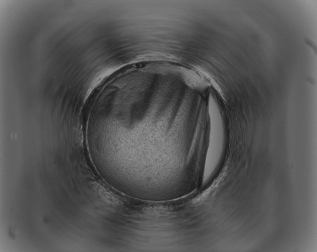 X0000091650973200709131447